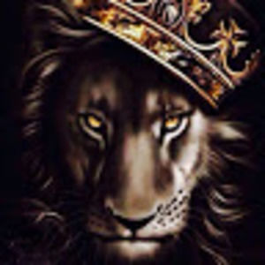 Meet your Posher, Lamar